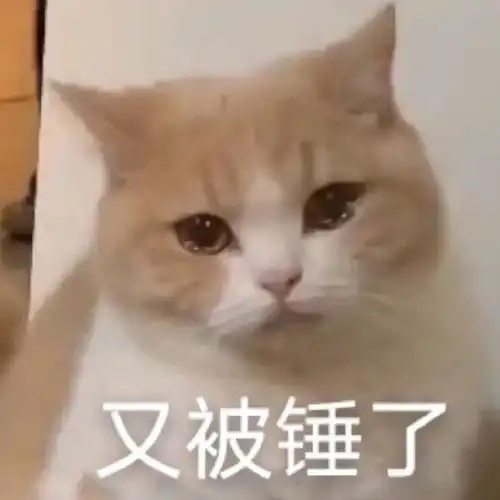  菜园辣白菜好帖整理