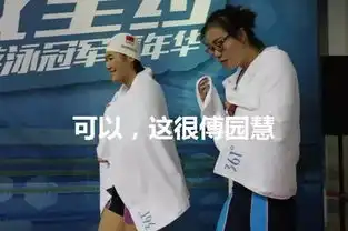  傅园慧行走的表情包,体坛的一股泥石流