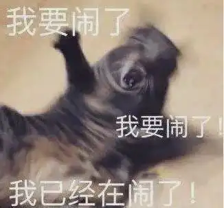  终于等到林书豪第一场就炸99分干翻辽宁队cba整整等了他1年