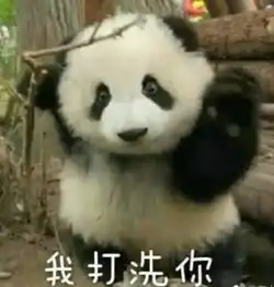  这个帅气的飞行员小哥哥刷屏了长得像朱亚文和段奕宏的结合体...