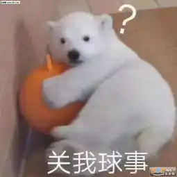  想知道男友在干嘛又不想表现太明显图片小朋友的目光表情包下载乐游网游戏下载