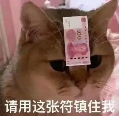  知名同志夫夫在中国结婚了我把余生交给你