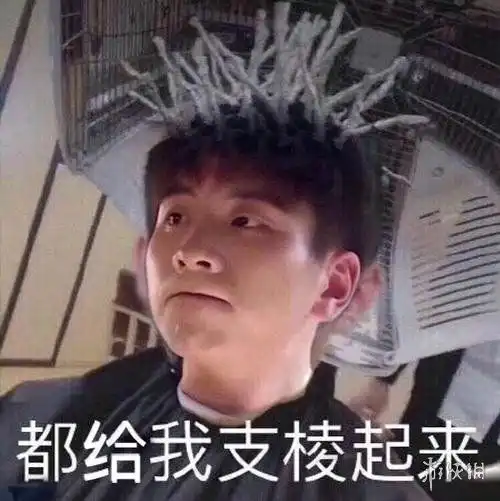  支棱起来表情包有哪些支棱起来表情包大全