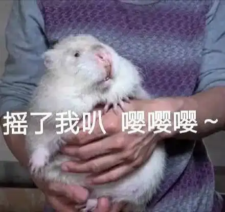  华农兄弟表情包