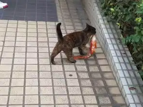  八张图这四双鞋子的杀伤力好大
