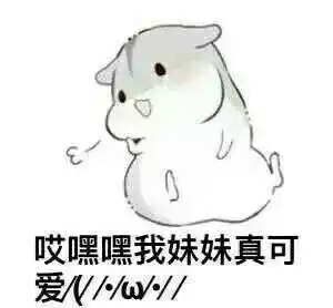 小仓鼠表情包图片大全离