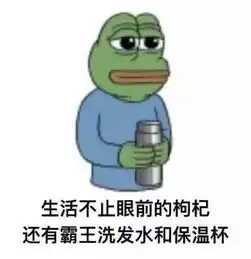  朋克养生法,了解一下