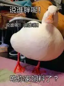  拿走不谢适合朋友圈评论发的50个沙雕表情包