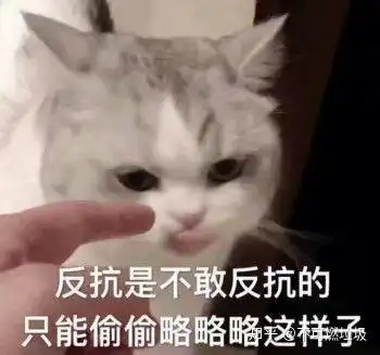  有一个当飞行学员的男朋友是一样什么体验有什么想对他说的呢