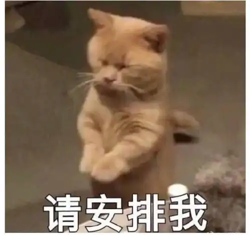 求推荐古风歌手 求推荐古风歌手