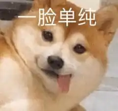  出来吧,我在楼下等你这届外卖小哥太会了
