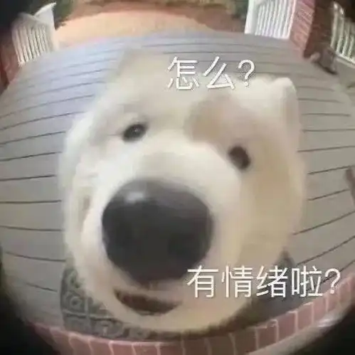  一看就是大聪明的朋友圈沙雕文案
