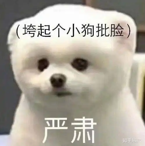  大家玩阴阳师,都是多久出来ssr或sp的啊