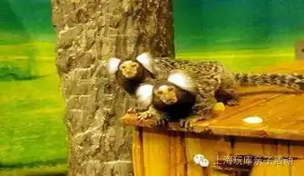  玩转周末