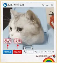  微信7.0.6版本这个新功能绝了,有了这个黑科技,斗图再也没输过