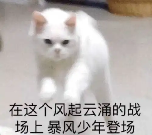  论文答辩没过是一种怎样的体验
