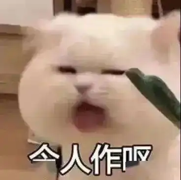  每日精选沙雕表情包