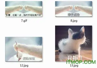  丑拒表情包下载猫爪丑拒表情包下载高清无水印完整版it猫扑网