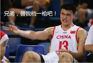 80后的姚明上海的巨人,世界的巨星,and中国永远的表情包 80后的姚明上海的巨人,世界的巨星,and中国永远的表情包