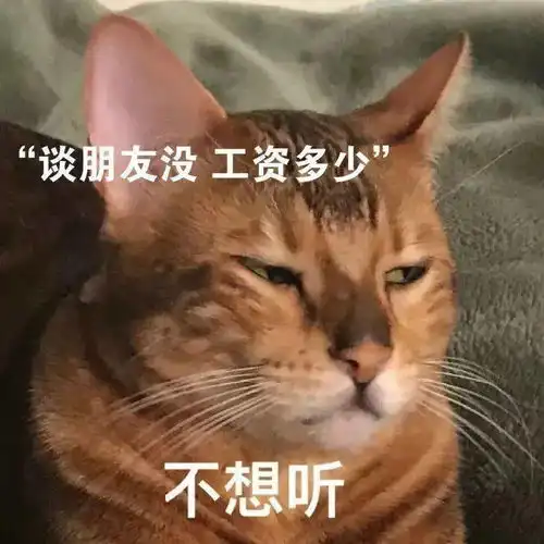 担心表情包猫咪放假