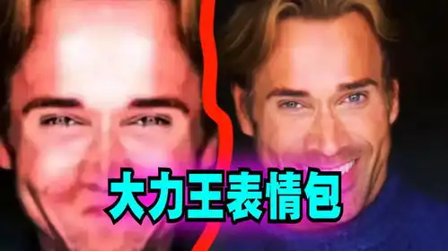 超级搞笑表情解说