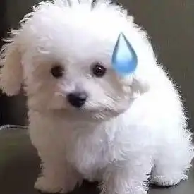  槽一下同时给四位大佬当备胎后