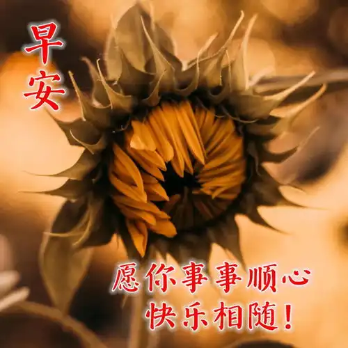 最漂亮早上好图片大全动态表情问候大家早上好的图片祝福语 最漂亮早上好图片大全动态表情问候大家早上好的图片祝福语