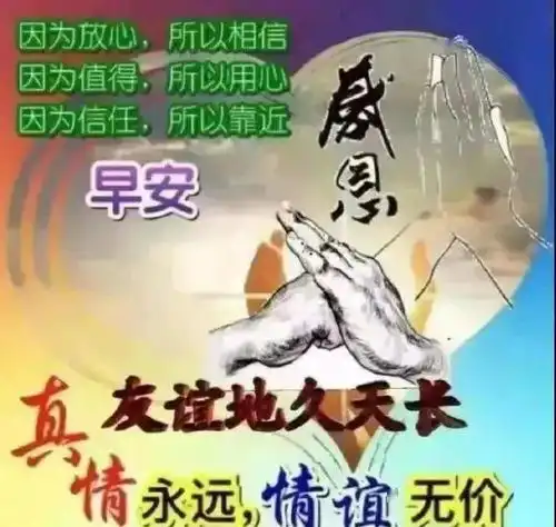 早上好表情包,除夕快乐,新年吉祥,四季平安阳光转角天气
