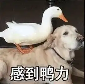 中奖表情包大全路演