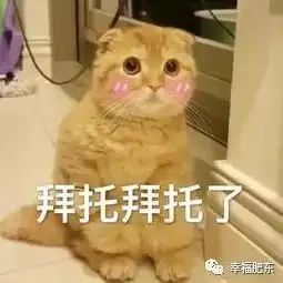  烟花来了雷雨暴雨将扑袭安徽