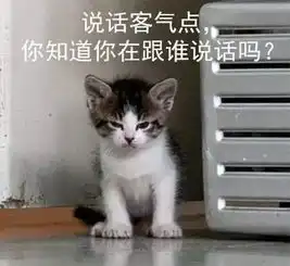  社会我喵哥表情包无水印版大全