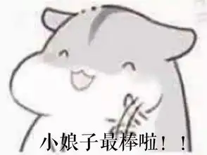  hamham小仓鼠小娘子和夫君君表情包堆糖,美好生活研究所