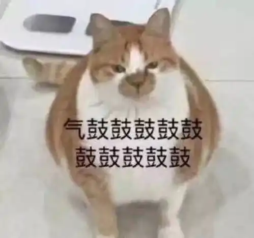 特别会生气的表情包气鼓