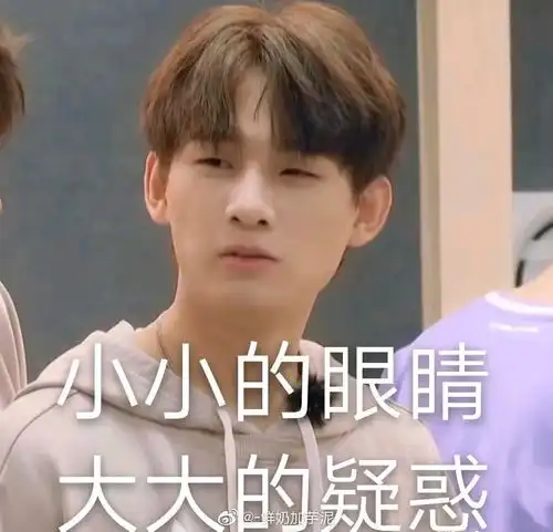  r1se表情包大户
