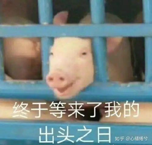  沙雕233,没错大学宿舍竟然能如此愉快序