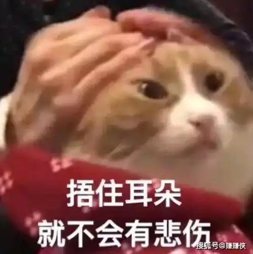  表情包图片女孩的心思你别猜