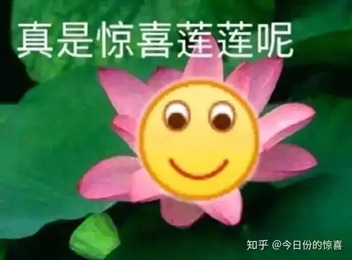  如何客观评价范冰冰的长相