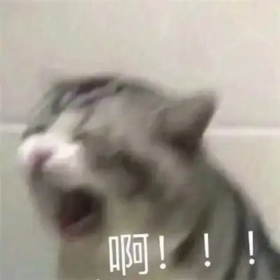  哄女朋友表情包可爱低头认错表情包超萌