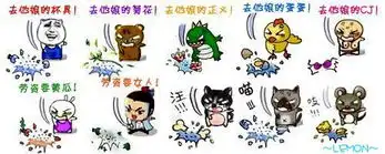  mtime时光网