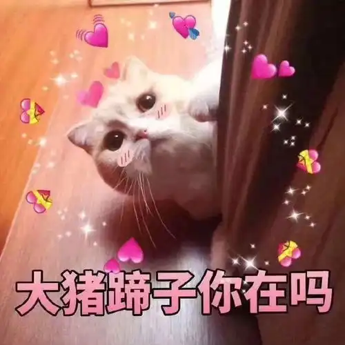  每日表情包人生啊,地不熟