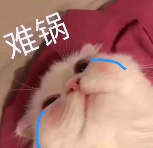  新届行走的职场穿衣指南,岂止都挺好