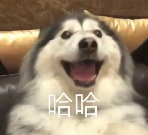  滴虫治疗有无必要全冻干喂养一段时间养胃