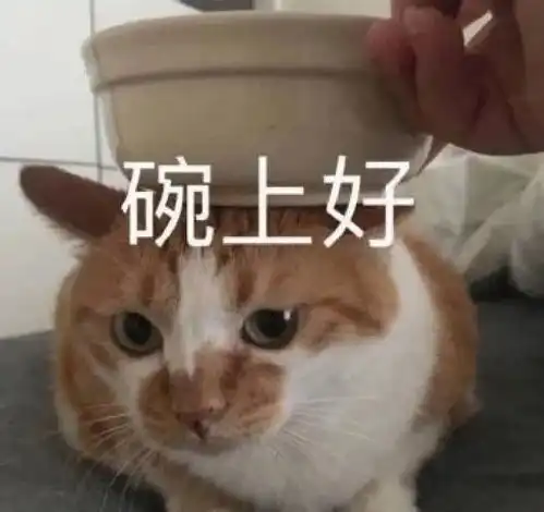  可爱微信聊天表情包你该忙忙你的吧