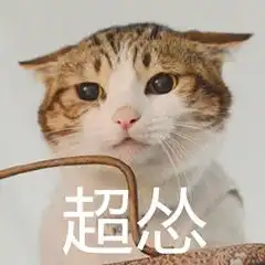 认怂表情包表情包
