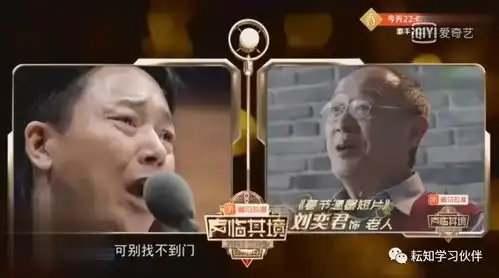  爱奇艺声临其境2刘奕君冯雷于毅张国强号啕大哭拒打针