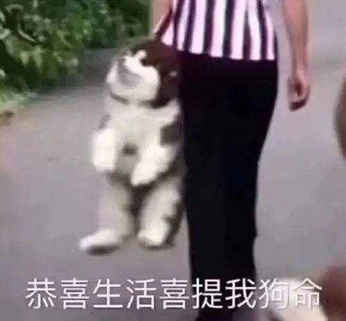  好难受,家里人要在朋友圈给我征婚楼主不是排斥相亲,是不喜欢发朋友圈征婚
