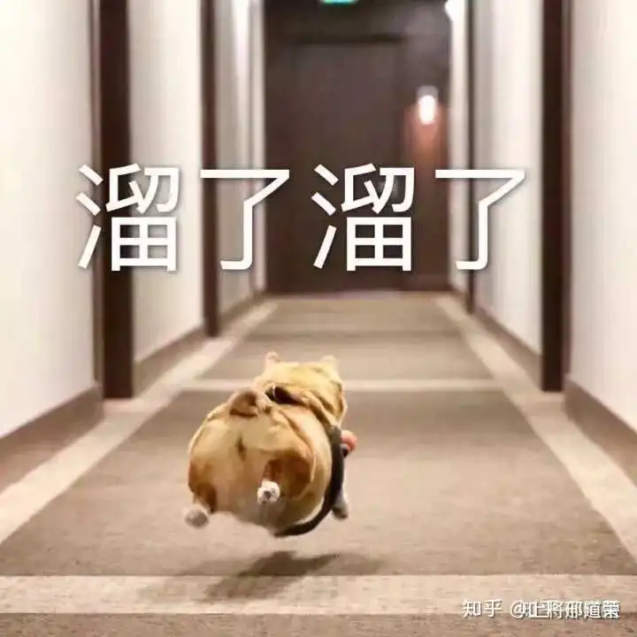  表情有哪些瞬间hold住全场的表情包上将邢道荣的回答表情