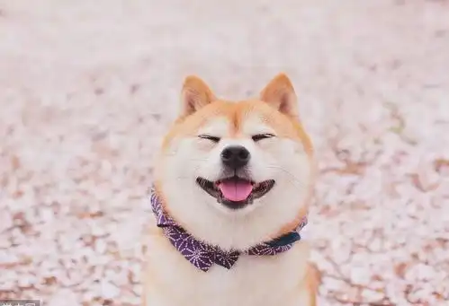  猫狗双全成了新的人生赢家模式,千亿宠物市场方兴未艾中国