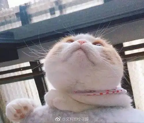  开心时刻别人都关心你飞的高不高累不累,并不关心你