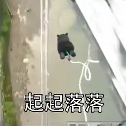 双叶杏人生啊表情包落落